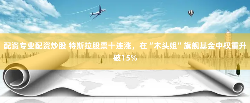 配资专业配资炒股 特斯拉股票十连涨，在“木头姐”旗舰基金中权重升破15%