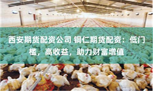 西安期货配资公司 铜仁期货配资：低门槛，高收益，助力财富增值